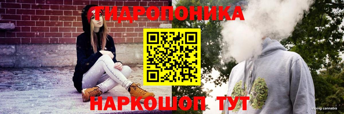 Конопля OG Kush Избербаш